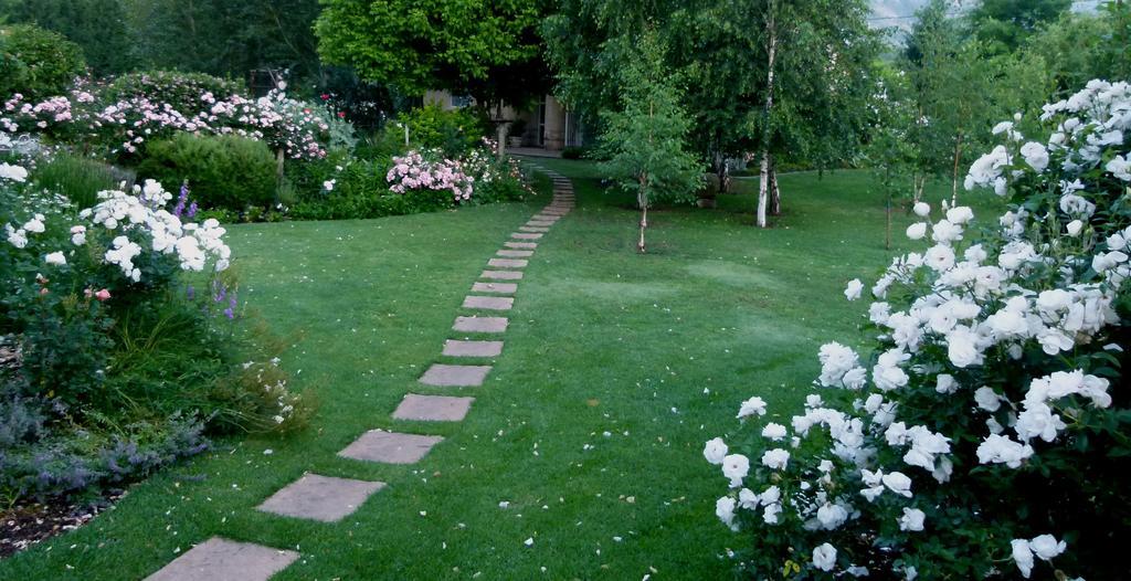 Hotel Millpond House Clarens Zewnętrze zdjęcie